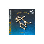Constellations Gemini Pin