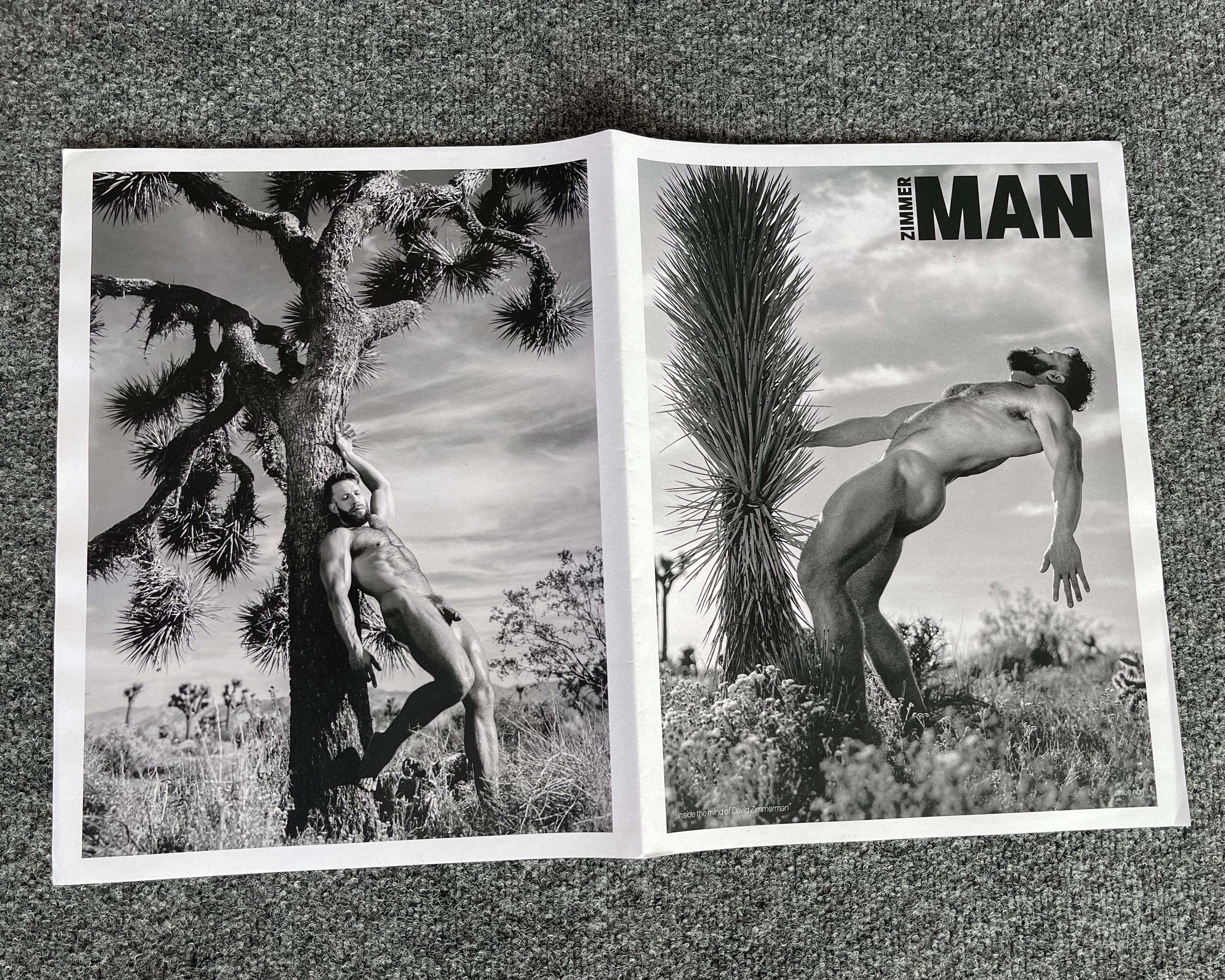 ZIMMER MAN POSTER ZINE BY DAVID ZIMMERMAN