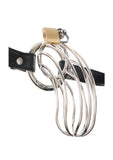 Fetish Fantasy Extreme The Prisoner Steel Cock Cage Chastity Belt with Lock - Silver