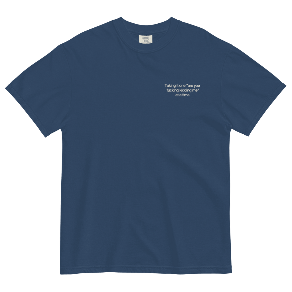 Taking It One "Are You Fucking Kidding Me" At A Time Shirt