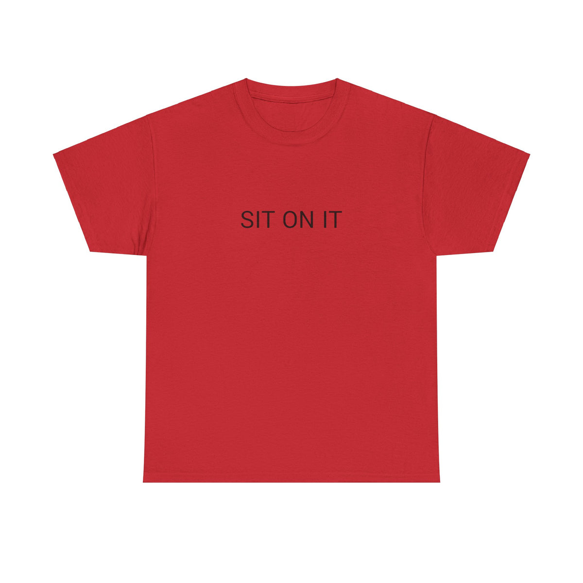 SIT ON IT TEE BY CULTUREEDIT AVAILABLE IN 13 COLORS