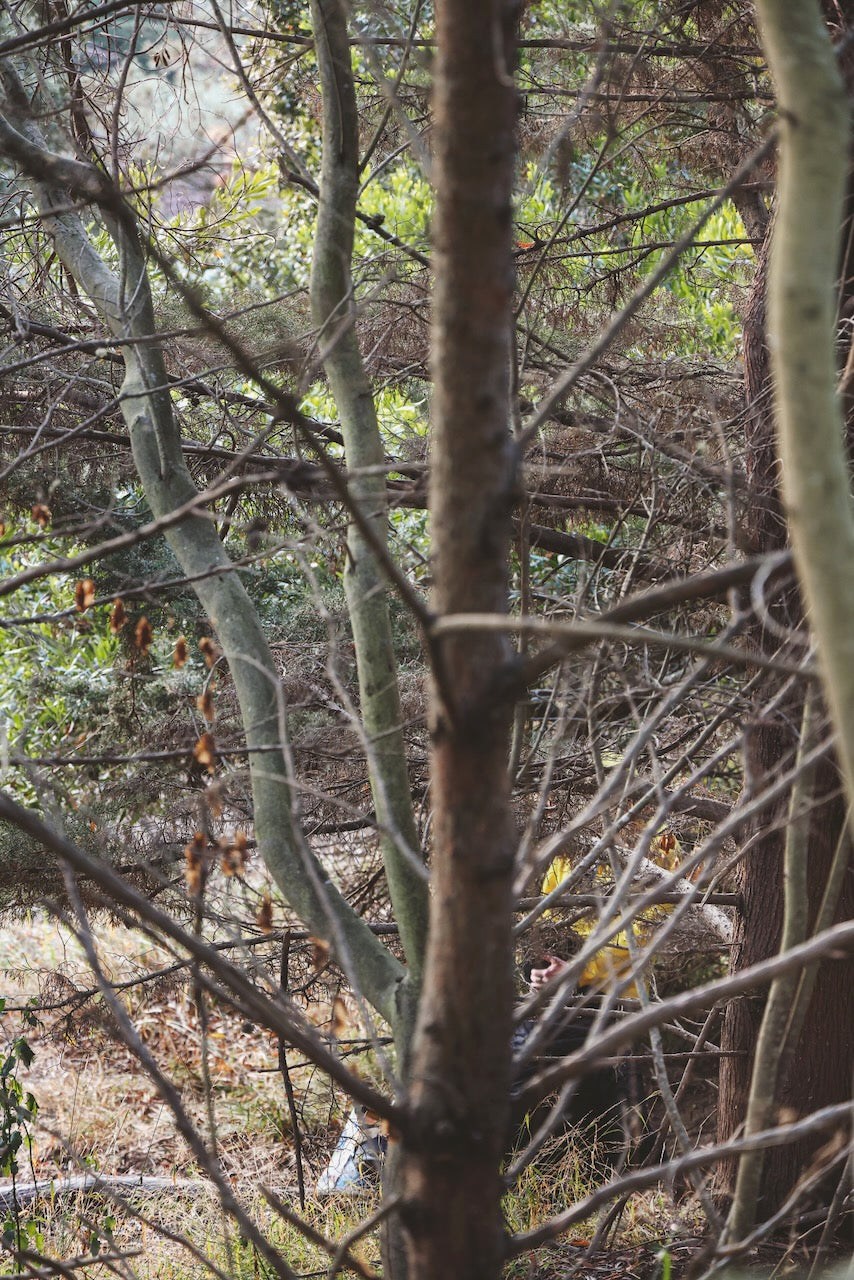 Daniel Case, Yellow Grab, 2023