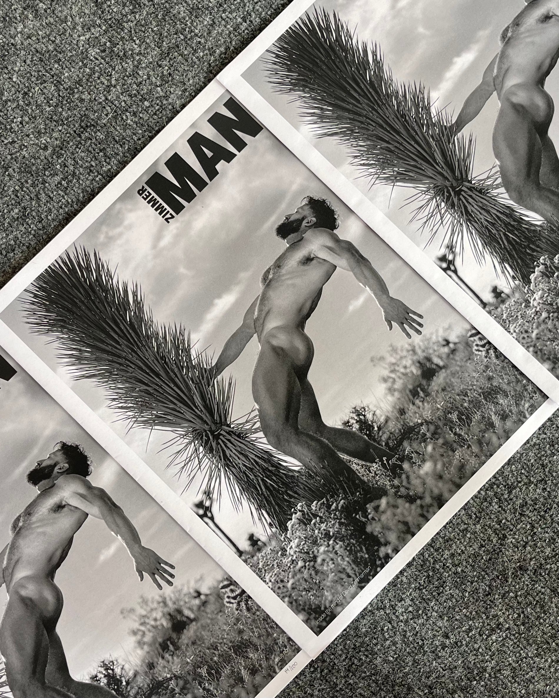 ZIMMER MAN POSTER ZINE BY DAVID ZIMMERMAN