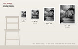 Flow, 2026 — print size comparison