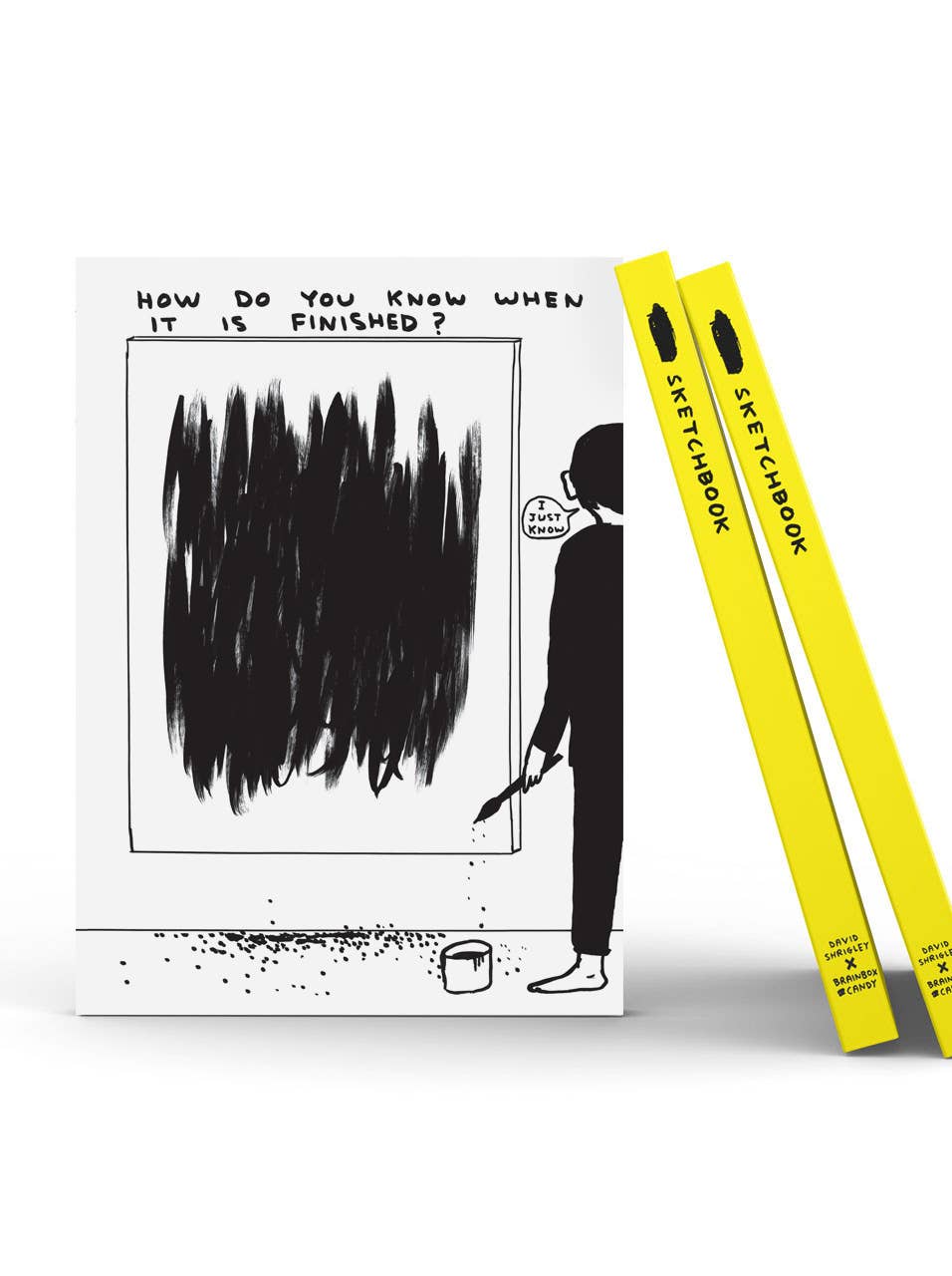 How Do You Know Sketchbook by David Shrigley