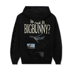PLAYBOY Aviation Wings N950PB Hoodie
