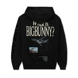 PLAYBOY Aviation Wings N950PB Hoodie