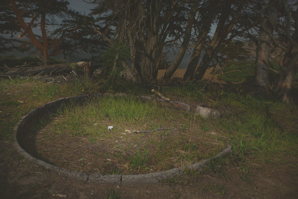 Daniel Case, Circle, 2014