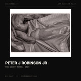 Peter J Robinson Jr, The light touch, 2026