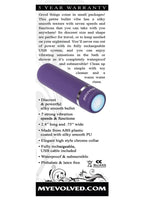 Purple Passion Rechargeable Silky Smooth Bullet - Purple