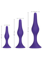 Booty Call Booty Trainer Starter Kit Silicone Anal Plugs 3 Assorted Sizes - Purple