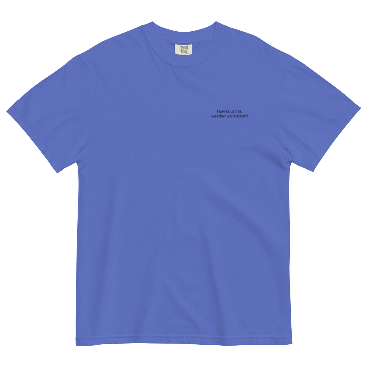 How Bout This Weather We're Havin Embroidered Shirt