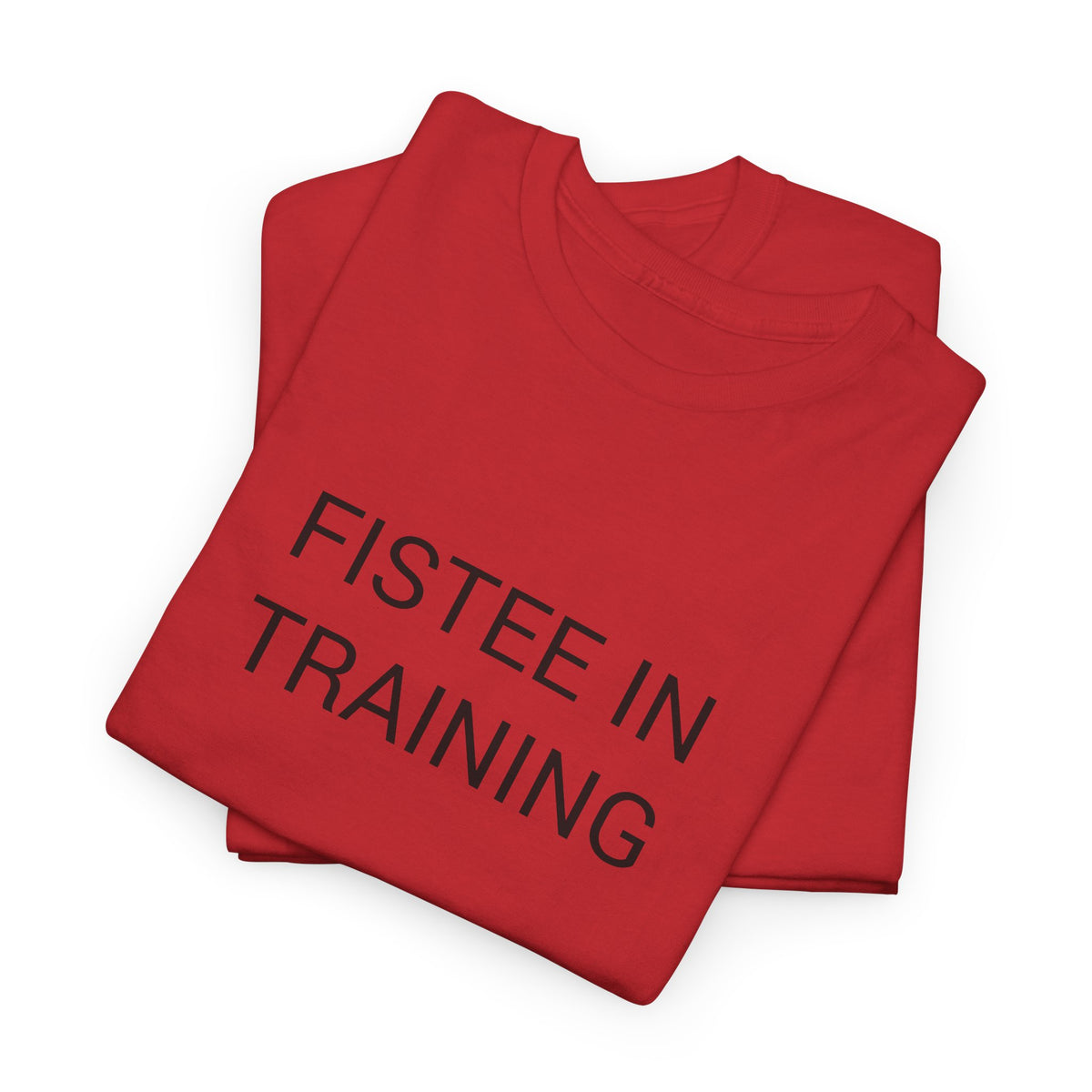 FISTEE IN TRAINING TEE BY CULTUREEDIT AVAILABLE IN 13 COLORS