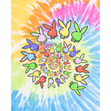 Playboy X Color Bars Spiral Tie-Dye T-Shirt