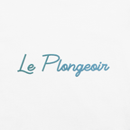 Le Plongeoir Gradient Embroidered Shirt