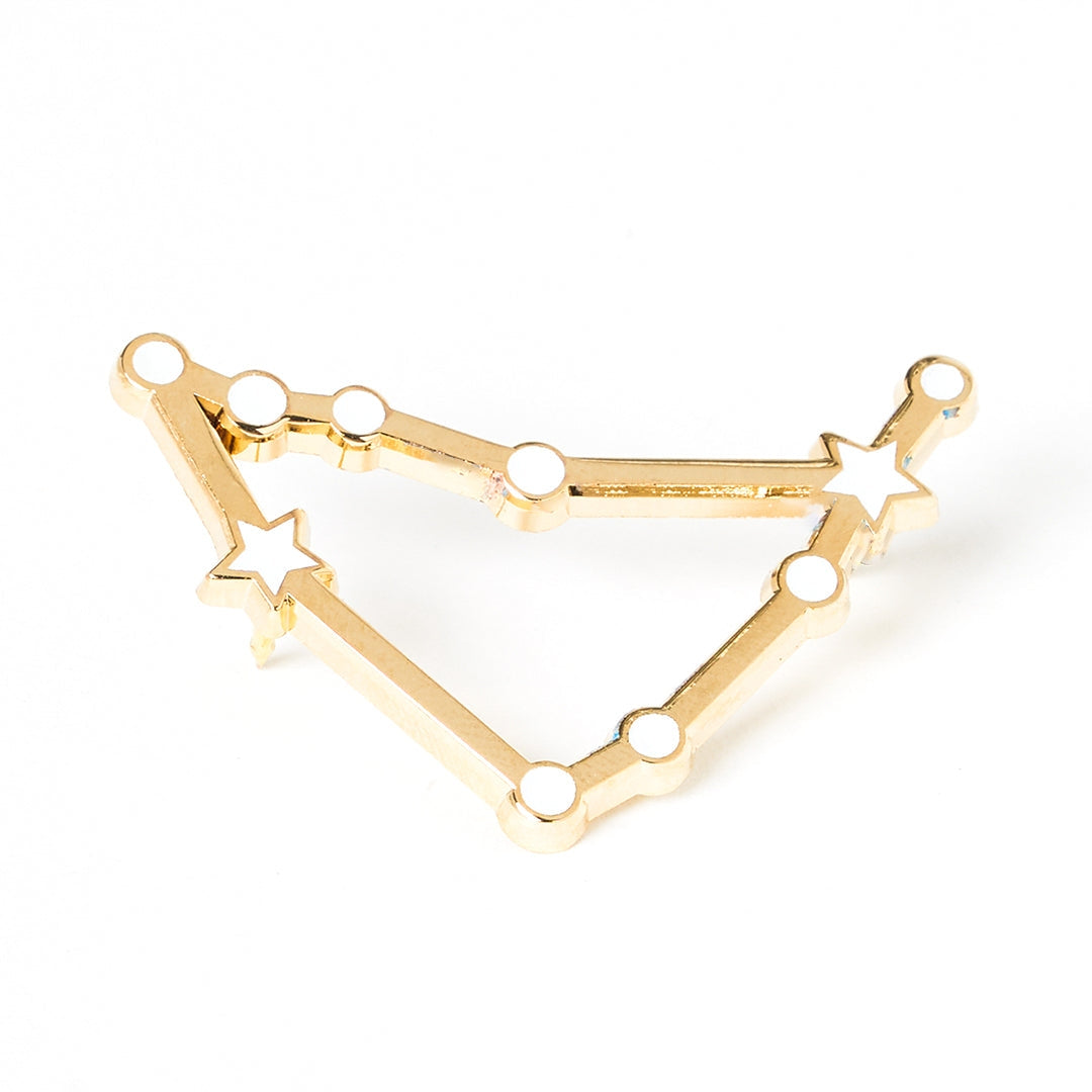Constellations Capricorn Pin