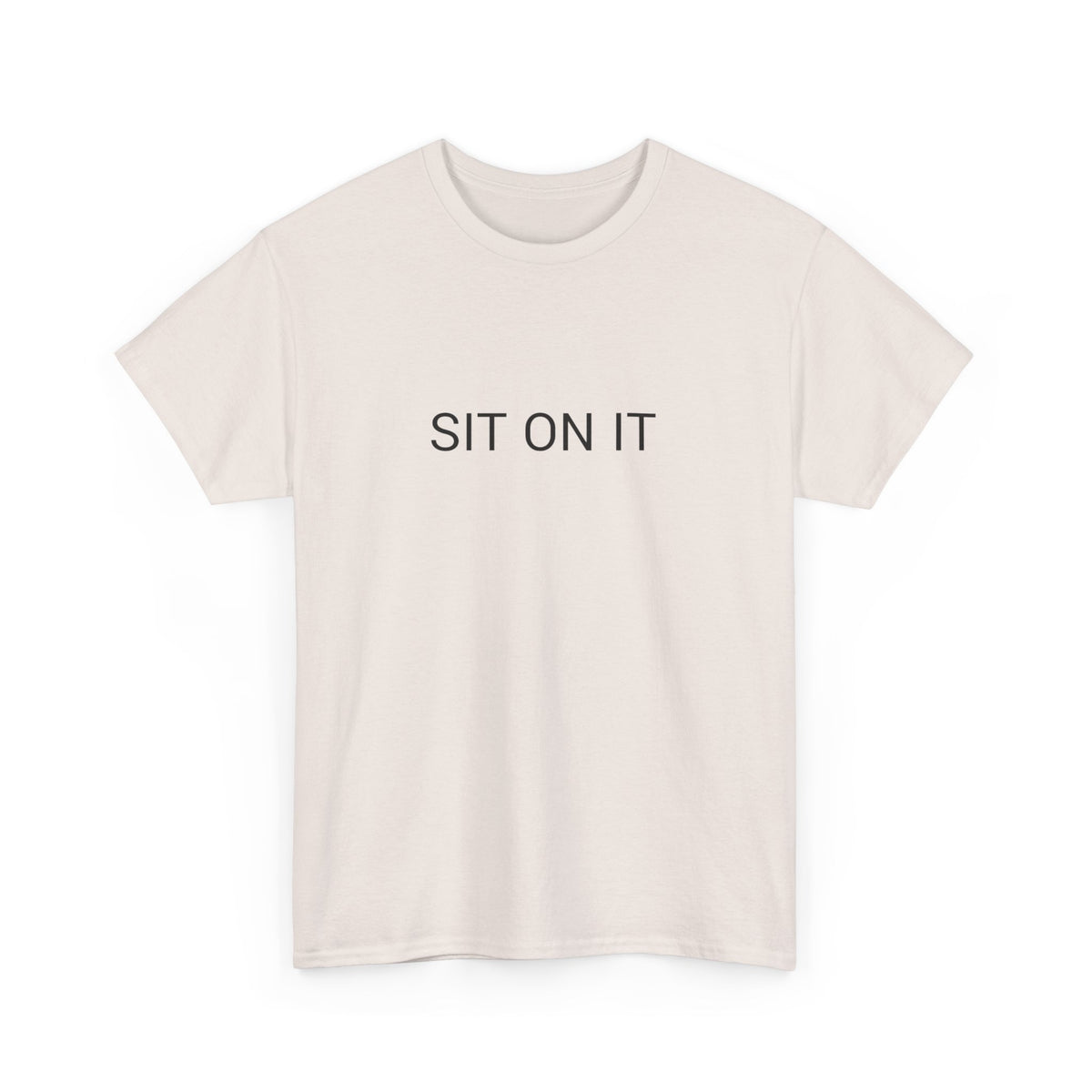 SIT ON IT TEE BY CULTUREEDIT AVAILABLE IN 13 COLORS