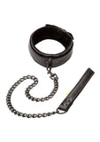 Boundless Collar & Leash - Black