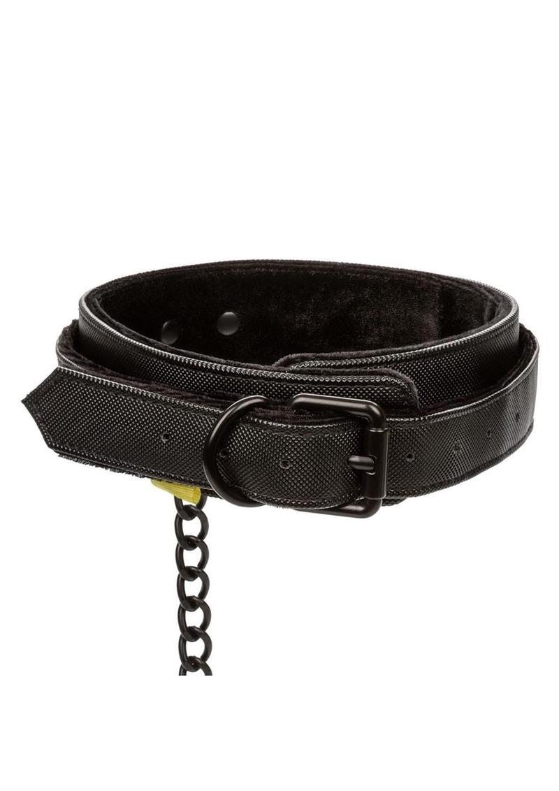 Boundless Collar & Leash - Black