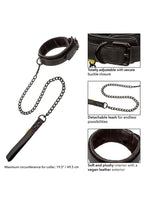 Boundless Collar & Leash - Black