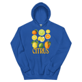 The Citrus Hoodie