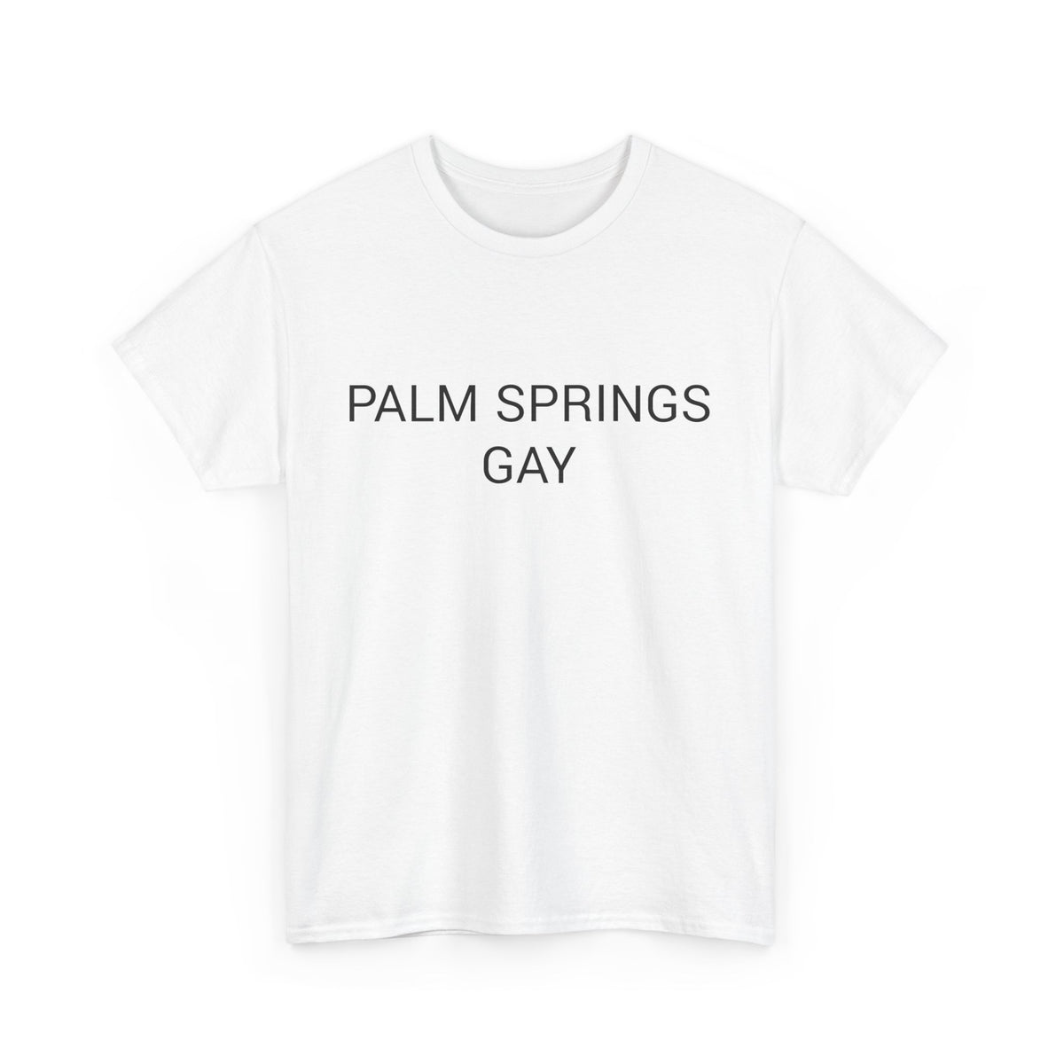 PALM SPRINGS GAY TEE BY CULTUREEDIT AVAILABLE IN 13 COLORS