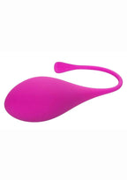 Kegel Training (5 piece) Set - Assorted Colors