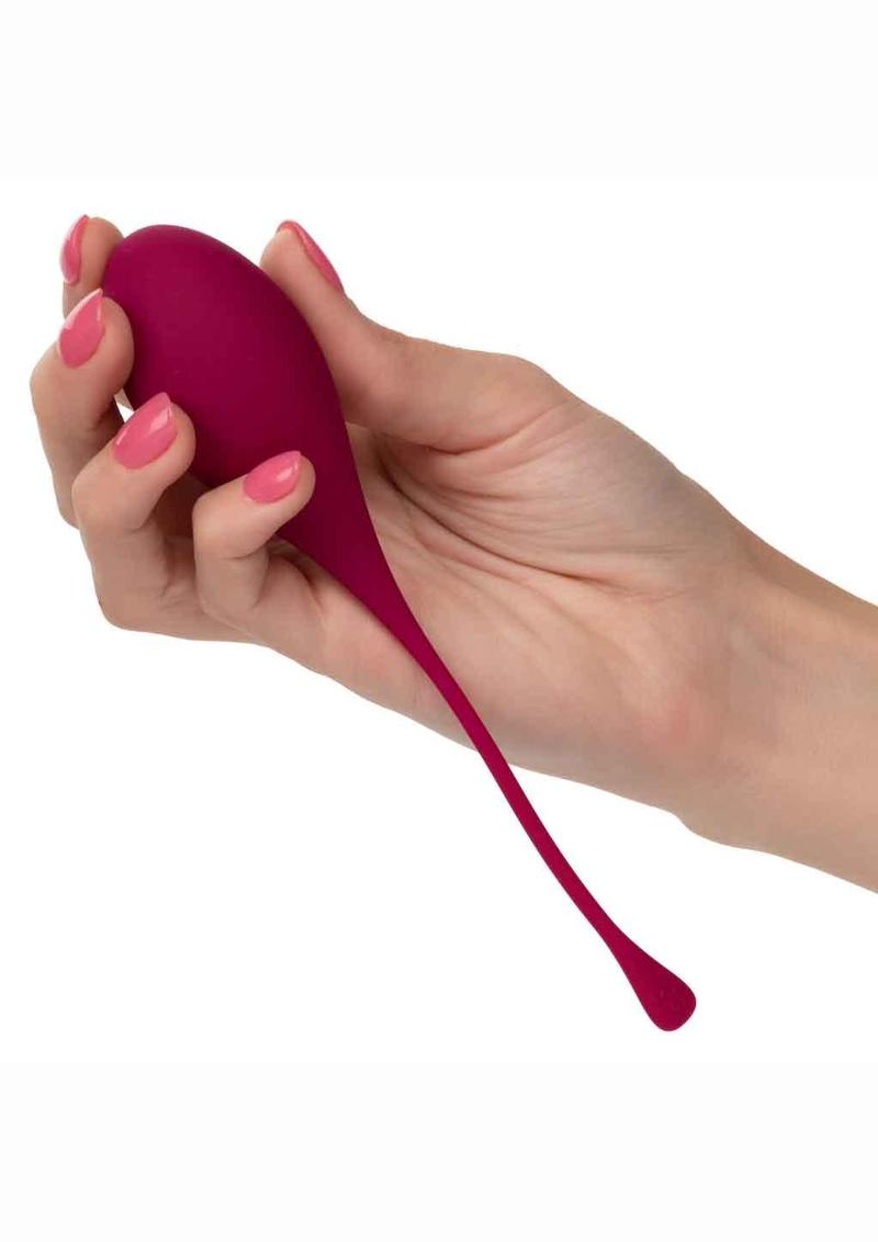 Kegel Training (5 piece) Set - Assorted Colors