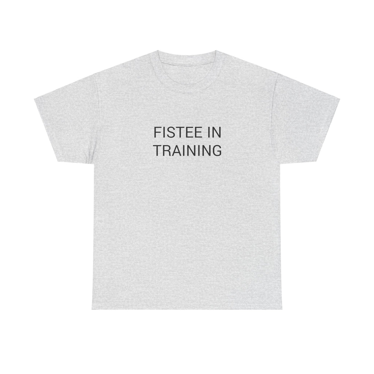 FISTEE IN TRAINING TEE BY CULTUREEDIT AVAILABLE IN 13 COLORS