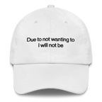Due To Not Wanting To I Will Not Be Embroidered Hat