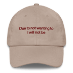 Due To Not Wanting To I Will Not Be Embroidered Hat