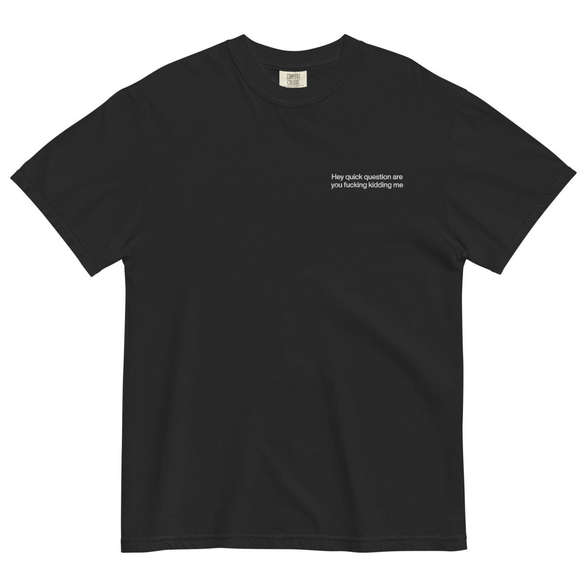 Hey Quick Question Are You Fucking Kidding Me Embroidered T-Shirt