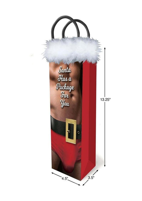 Santa Has A Big Package For You Gift Bag