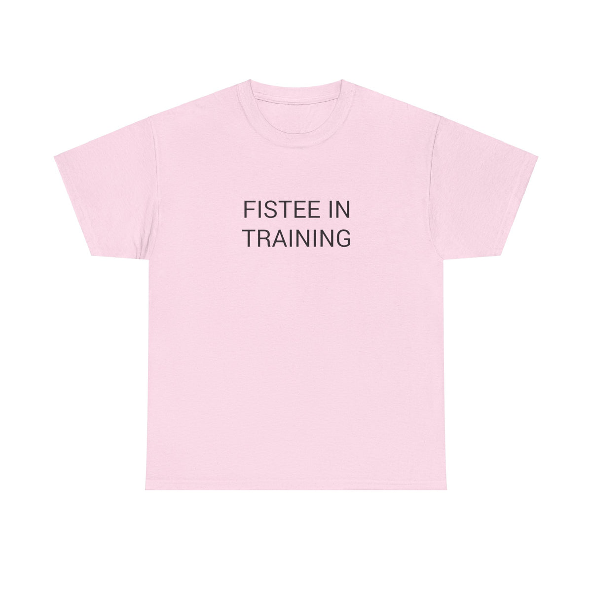 FISTEE IN TRAINING TEE BY CULTUREEDIT AVAILABLE IN 13 COLORS