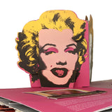 ANDY WARHOL POP UP POP ART