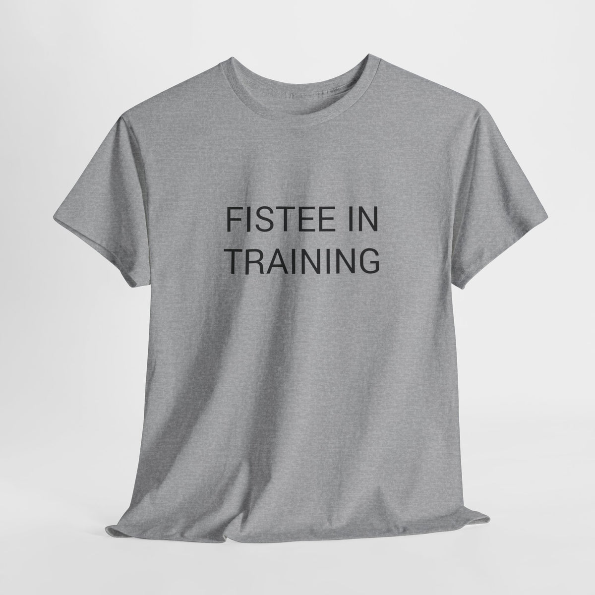 FISTEE IN TRAINING TEE BY CULTUREEDIT AVAILABLE IN 13 COLORS