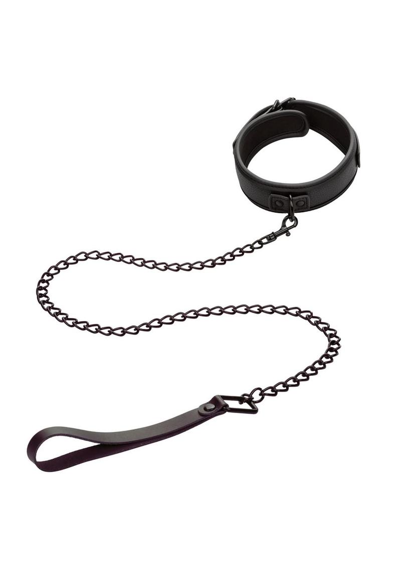 Nocturnal Collection Collar & Leash - Black