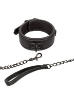 Nocturnal Collection Collar & Leash - Black