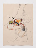 James Schenck, SHADES, 2026