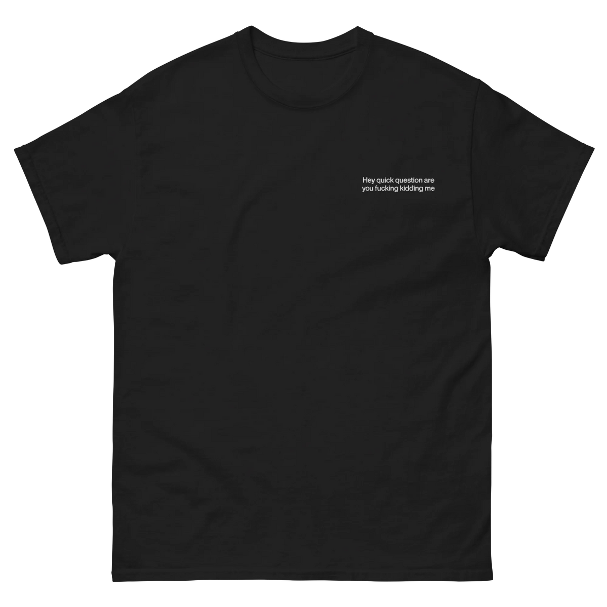 Hey Quick Question Are You Fucking Kidding Me Embroidered T-Shirt