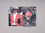 Lulu Williams , Princess Diana as Mushrooms