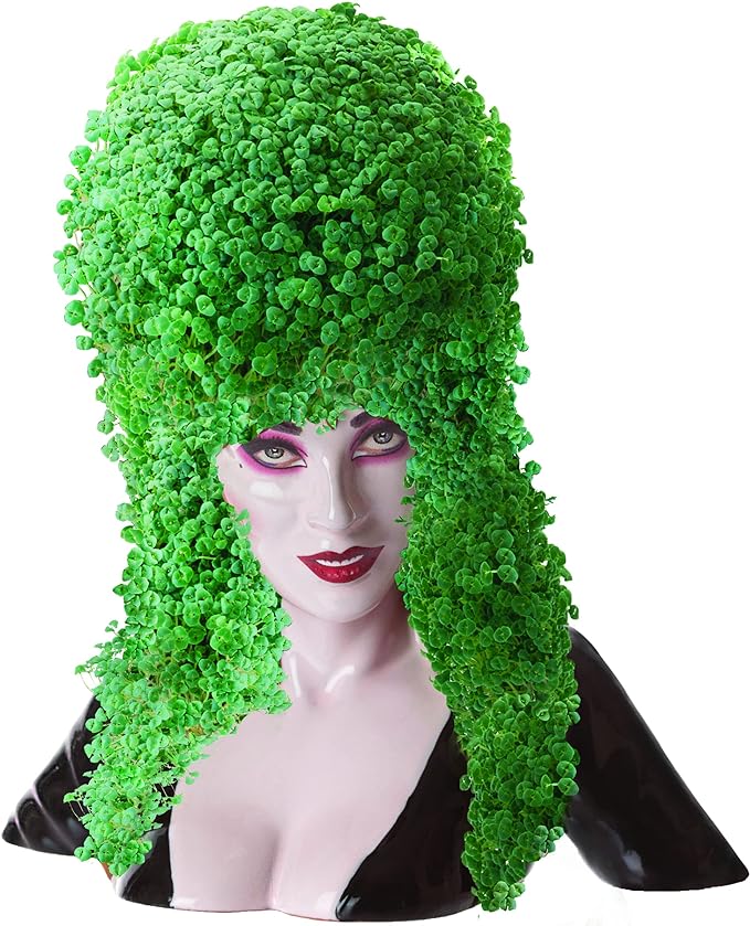 ELVIRA CHIA PET