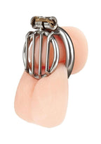 Blueline Stainless Steel Inverted Micro Jail Time Chastity Cage - Silver