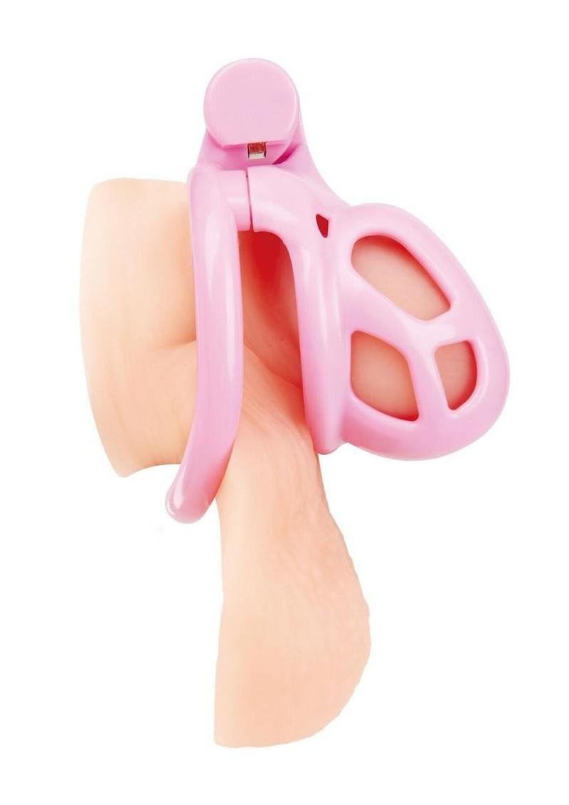 Blueline Small Humiliation Acrylic Prisoner Cock Cage - Pink
