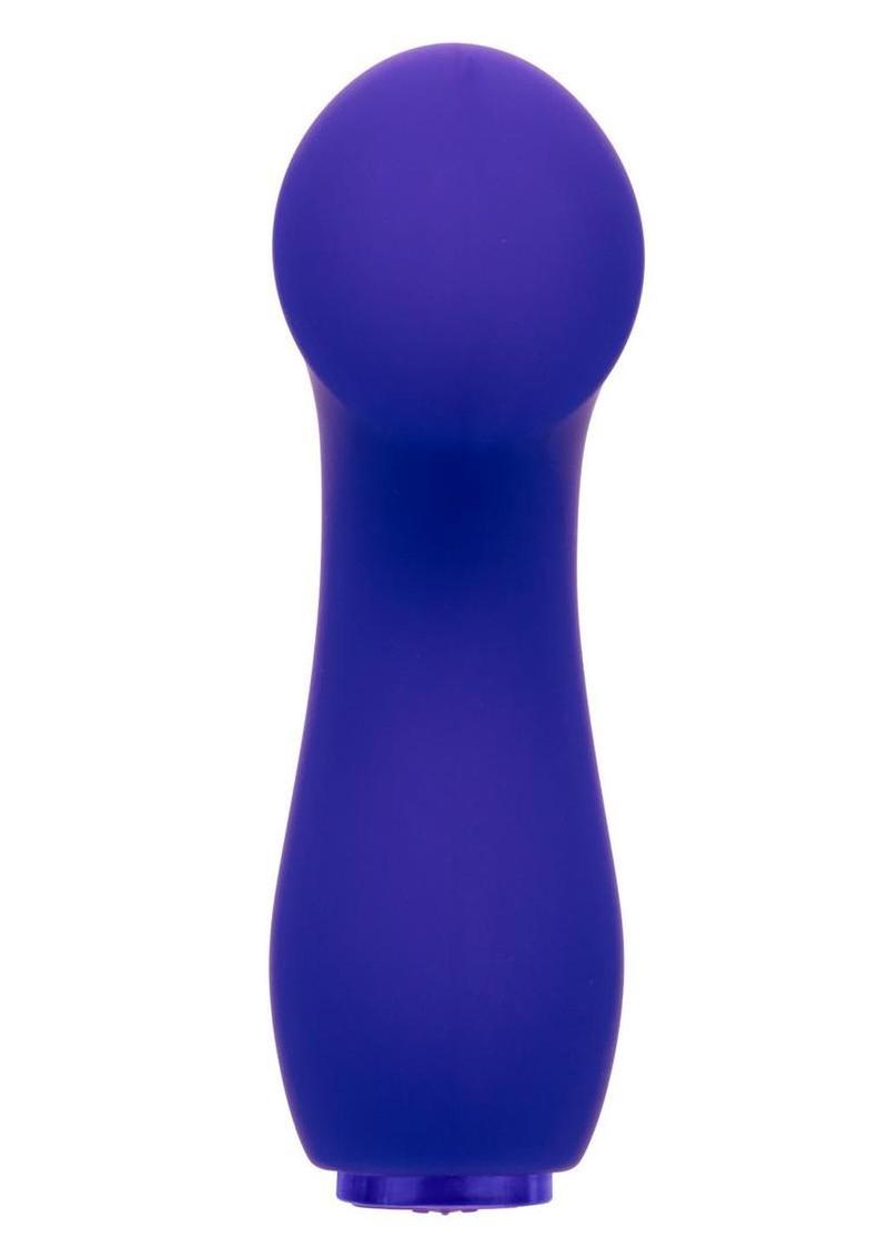 Raven G Pleaser Rechargeable Silicone Mini Vibrator - Purple