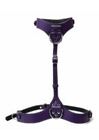 Punishment Body Harness - Purple/Silver