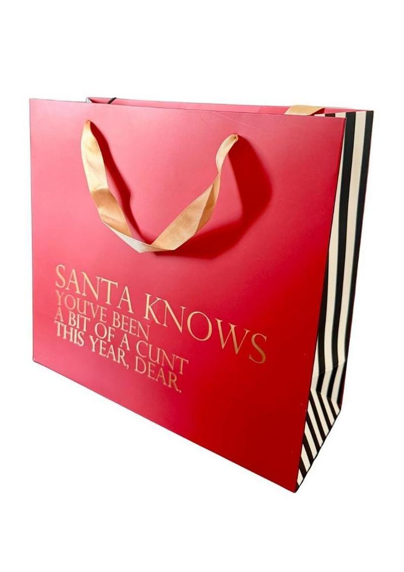 Santa Knows You've Been a Bit of a Cunt This Year Dear Gift Bag - Large