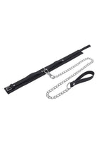 Signature Midnight Muse Collar & Leash - Black/Silver