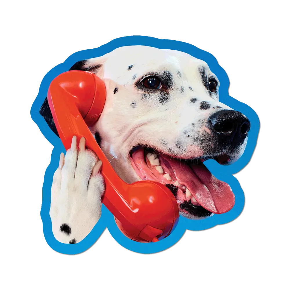Dalmatian Phone Call by Toiletpaper die-cut sticker