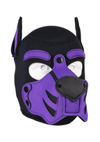Merci Neoprene Puppy Hood - Purple/Black